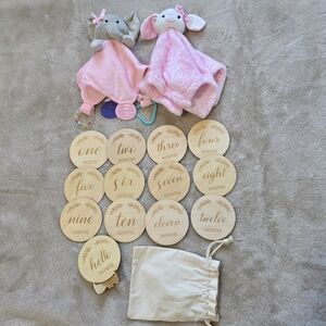 Pink Snuggle Blankie And Wooden Milestone Disc Bundle